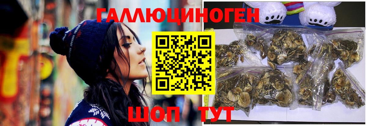 Галлюциногенные грибы мухоморы Энгельс