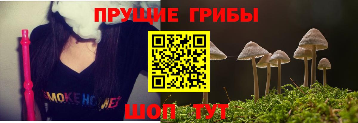 Энгельс  Галлюциногенные грибы прущие грибы  Вход с VPN 